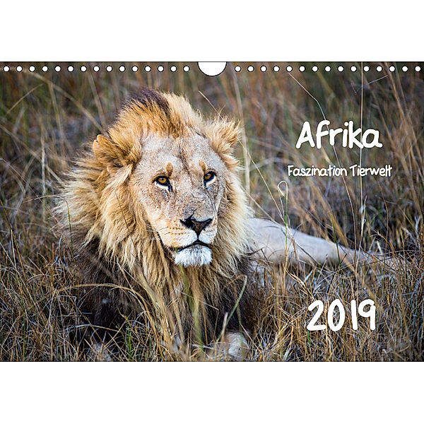 Afrika - Faszination Tierwelt (Wandkalender 2019 DIN A4 quer), Horst Bentlage