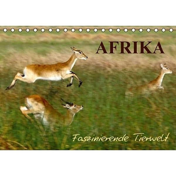 Afrika - Faszinierende Tierwelt (Tischkalender 2016 DIN A5 quer), Nadine Haase