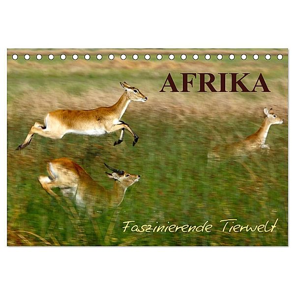 Afrika - Faszinierende Tierwelt (Tischkalender 2025 DIN A5 quer), CALVENDO Monatskalender, Calvendo, Nadine Haase