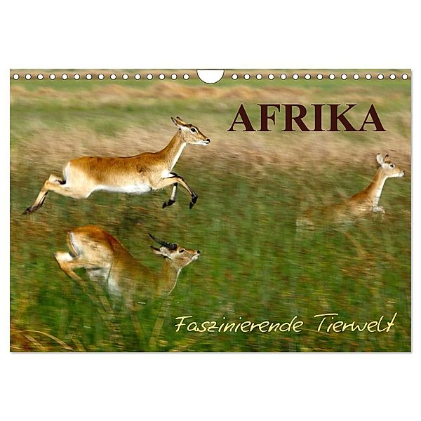 Afrika - Faszinierende Tierwelt (Wandkalender 2025 DIN A4 quer), CALVENDO Monatskalender, Calvendo, Nadine Haase