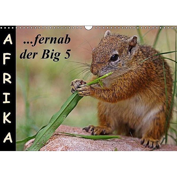 Afrika - fernab der Big 5 (Wandkalender 2018 DIN A3 quer), Wibke Woyke