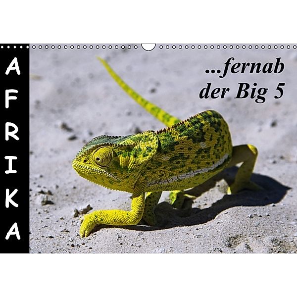 Afrika - fernab der Big 5 (Wandkalender immerwährend DIN A3 quer), Wibke Woyke