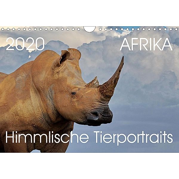 AFRIKA Himmlische Tierportraits (Wandkalender 2020 DIN A4 quer), Barbara Fraatz
