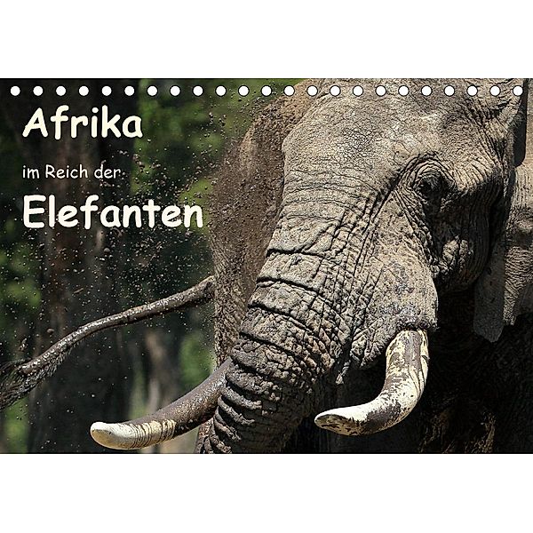 Afrika - im Reich der Elefanten (Tischkalender 2020 DIN A5 quer), Michael Herzog