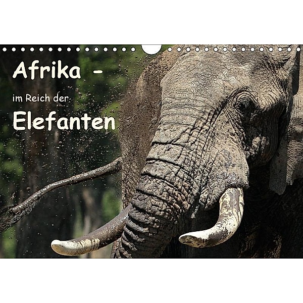 Afrika - im Reich der Elefanten (Wandkalender 2017 DIN A4 quer), Michael Herzog