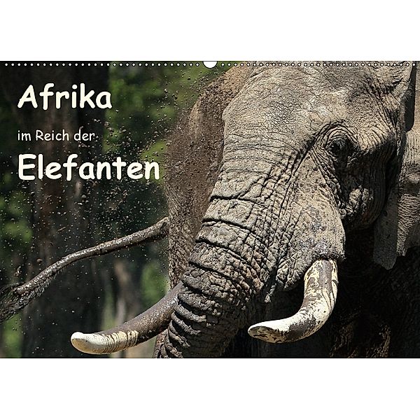 Afrika - im Reich der Elefanten (Wandkalender 2018 DIN A2 quer), Michael Herzog