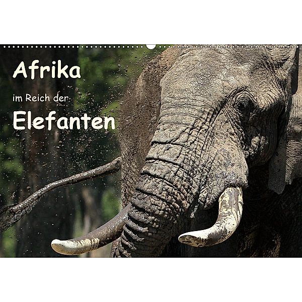 Afrika - im Reich der Elefanten (Wandkalender 2020 DIN A2 quer), Michael Herzog