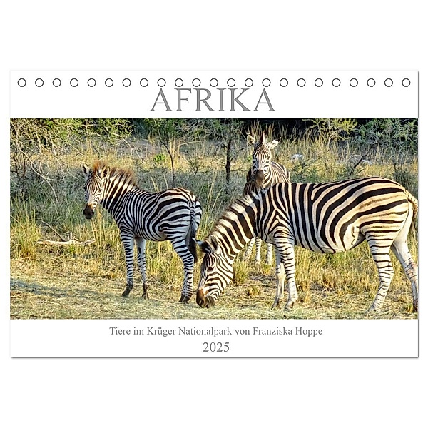 Afrika - Tiere im Krüger Nationalpark (Tischkalender 2025 DIN A5 quer), CALVENDO Monatskalender, Calvendo, Franziska Hoppe
