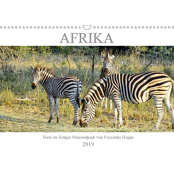 Afrika - Tiere im Krüger Nationalpark (Wandkalender 2019 DIN A3 quer), Franziska Hoppe