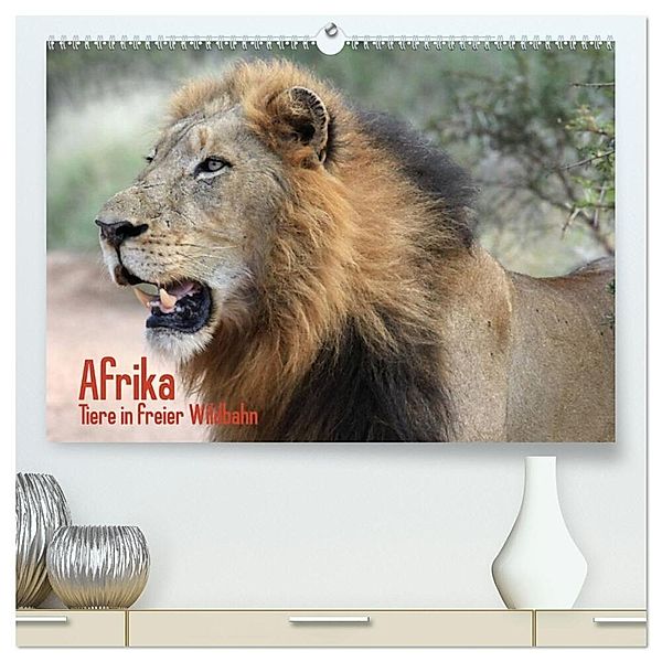 Afrika. Tiere in freier Wildbahn (hochwertiger Premium Wandkalender 2025 DIN A2 quer), Kunstdruck in Hochglanz, Calvendo, Elisabeth Stanzer