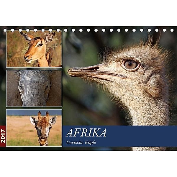 AFRIKA - Tierische Köpfe (Tischkalender 2015 DIN A5 quer), Wibke Woyke