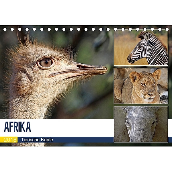 AFRIKA - Tierische Köpfe (Tischkalender 2018 DIN A5 quer), Wibke Woyke