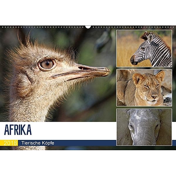 AFRIKA - Tierische Köpfe (Wandkalender 2018 DIN A2 quer), Wibke Woyke