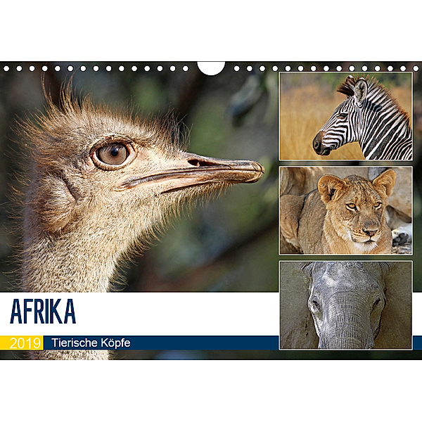 AFRIKA - Tierische Köpfe (Wandkalender 2019 DIN A4 quer), Wibke Woyke
