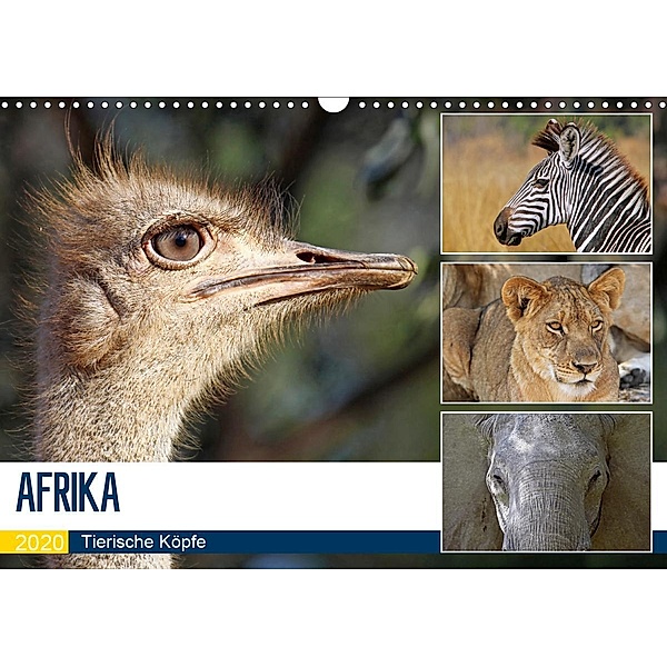 AFRIKA - Tierische Köpfe (Wandkalender 2020 DIN A3 quer), Wibke Woyke