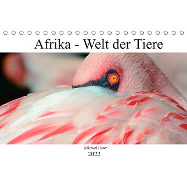 Afrika - Welt der Tiere (Tischkalender 2022 DIN A5 quer), Michael Jaster