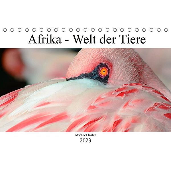 Afrika - Welt der Tiere (Tischkalender 2023 DIN A5 quer), Michael Jaster