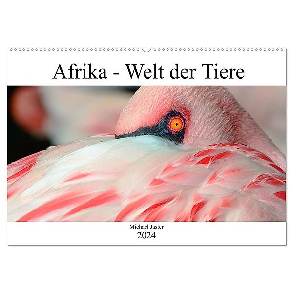 Afrika - Welt der Tiere (Wandkalender 2024 DIN A2 quer), CALVENDO Monatskalender, Michael Jaster