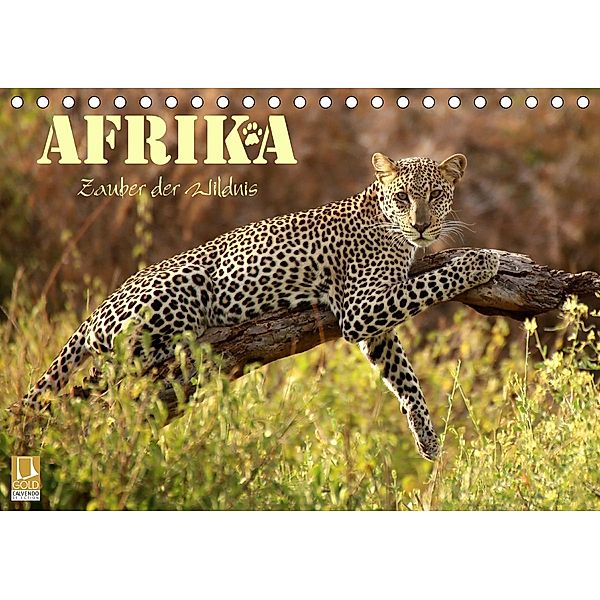 Afrika - Zauber der Wildnis (Tischkalender 2021 DIN A5 quer), Dirk Stamm