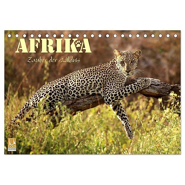 Afrika - Zauber der Wildnis (Tischkalender 2024 DIN A5 quer), CALVENDO Monatskalender, Dirk Stamm