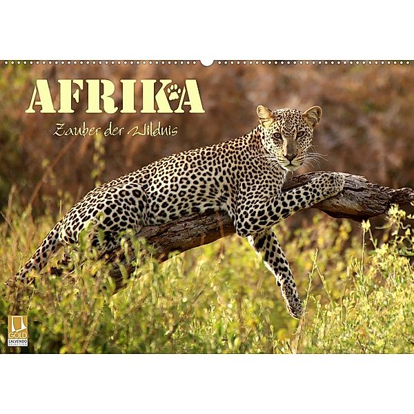 Afrika - Zauber der Wildnis (Wandkalender 2023 DIN A2 quer), Dirk Stamm