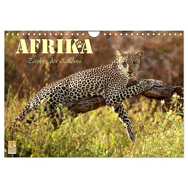Afrika - Zauber der Wildnis (Wandkalender 2024 DIN A4 quer), CALVENDO Monatskalender, Dirk Stamm