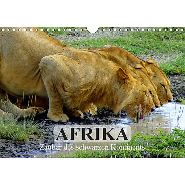 Afrika. Zauber des schwarzen Kontinents (Wandkalender 2019 DIN A4 quer), Elisabeth Stanzer