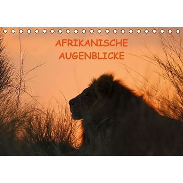 Afrikanische Augenblicke CH-Version (Tischkalender 2016 DIN A5 quer), Daniel Schneeberger