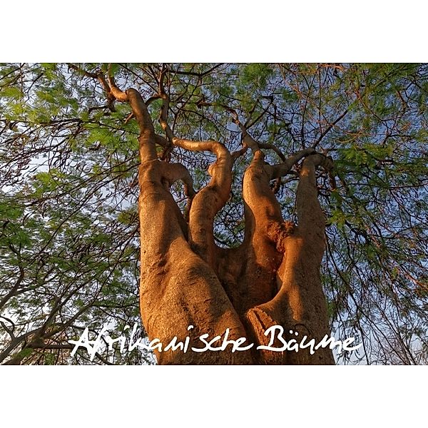 Afrikanische Bäume (Posterbuch DIN A2 quer), Gerald Wolf