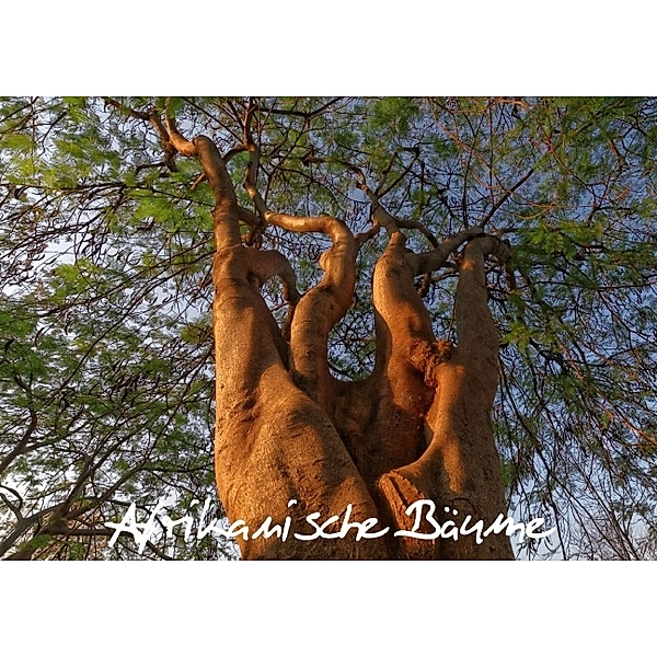 Afrikanische Bäume (Posterbuch DIN A3 quer), Gerald Wolf