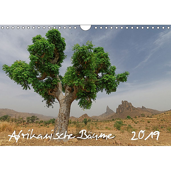 Afrikanische Bäume (Wandkalender 2019 DIN A4 quer), Gerald Wolf