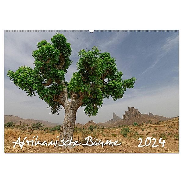 Afrikanische Bäume (Wandkalender 2024 DIN A2 quer), CALVENDO Monatskalender, Gerald Wolf