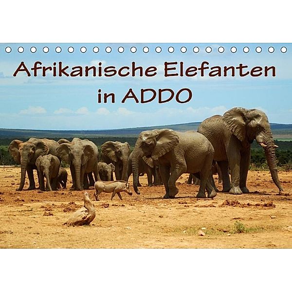 Afrikanische Elefanten in ADDO (Tischkalender 2017 DIN A5 quer), Anke van Wyk