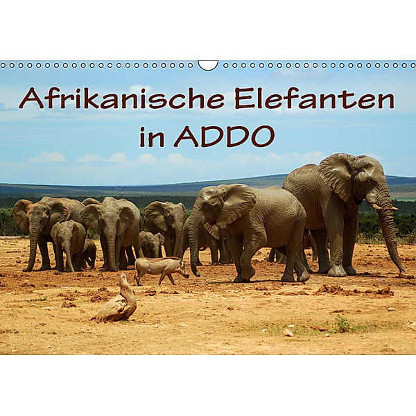 Afrikanische Elefanten in ADDO (Wandkalender 2019 DIN A3 quer), Anke van Wyk