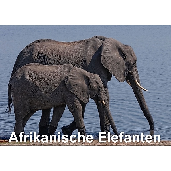 Afrikanische Elefanten (Tischaufsteller DIN A5 quer), Gerald Wolf