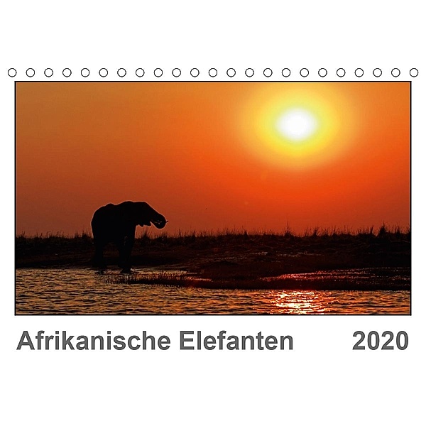 Afrikanische Elefanten (Tischkalender 2020 DIN A5 quer), Gerald Wolf