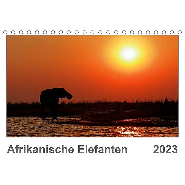 Afrikanische Elefanten (Tischkalender 2023 DIN A5 quer), Gerald Wolf