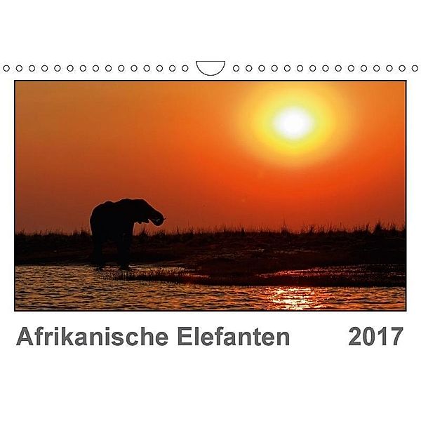 Afrikanische Elefanten (Wandkalender 2017 DIN A4 quer), Gerald Wolf