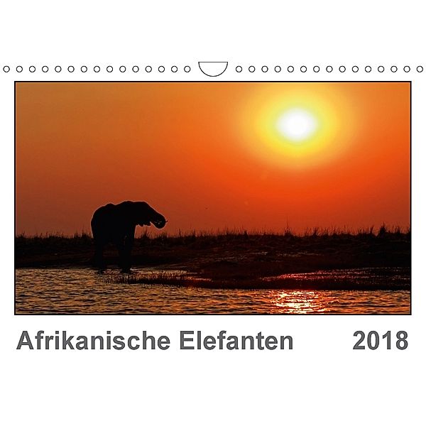 Afrikanische Elefanten (Wandkalender 2018 DIN A4 quer), Gerald Wolf