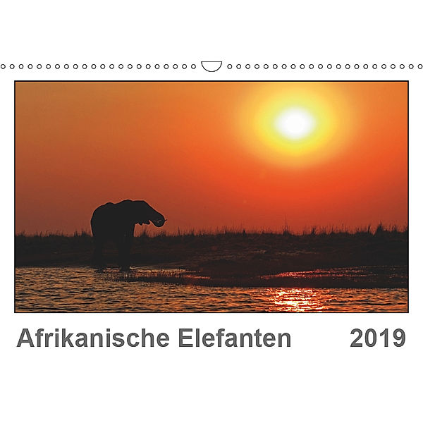 Afrikanische Elefanten (Wandkalender 2019 DIN A3 quer), Gerald Wolf