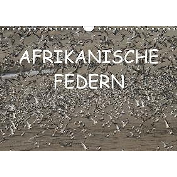 Afrikanische FedernCH-Version (Wandkalender 2015 DIN A4 quer), Daniel Schneeberger