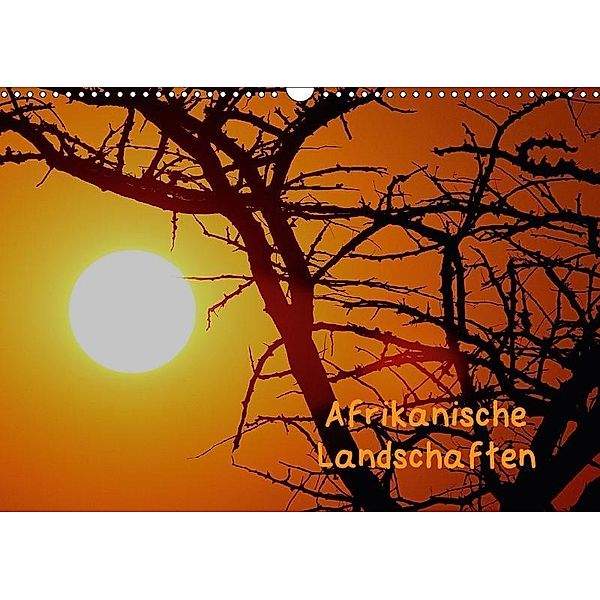 Afrikanische Landschaften (Wandkalender 2017 DIN A3 quer), Daniel Schneeberger