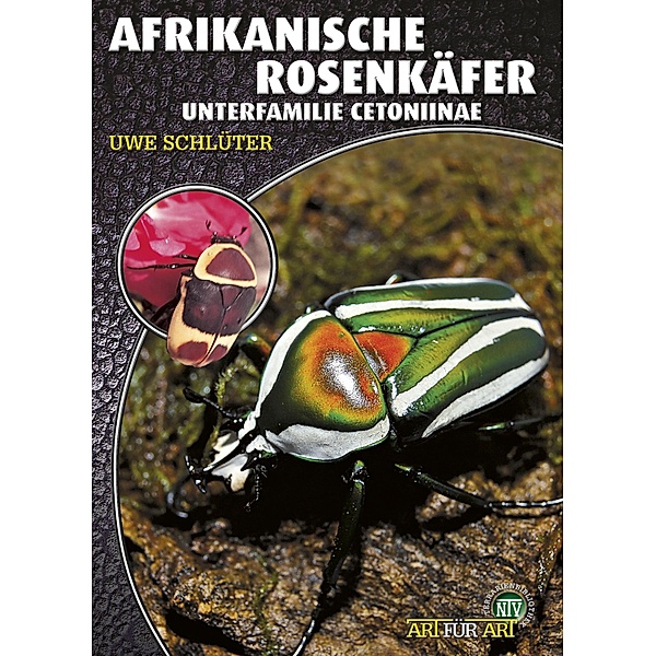 Afrikanische Rosenkäfer / Art für Art, Uwe Schlüter