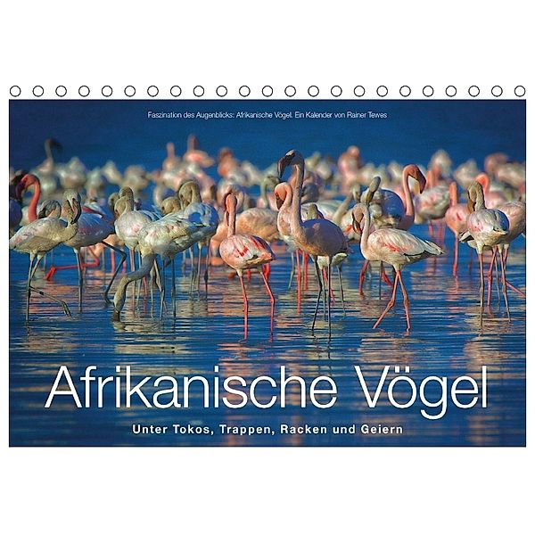 Afrikanische Vögel (Tischkalender 2018 DIN A5 quer), Rainer Tewes