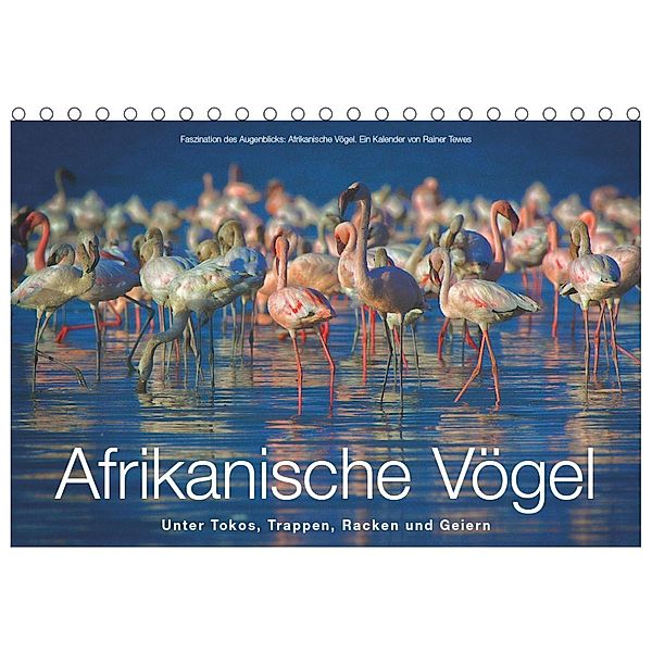 Afrikanische Vögel (Tischkalender 2023 DIN A5 quer), Rainer Tewes