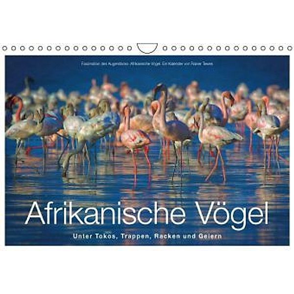 Afrikanische Vögel (Wandkalender 2016 DIN A4 quer), Rainer Tewes