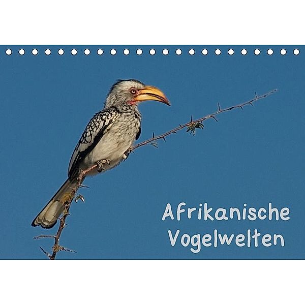 Afrikanische Vogelwelten (Tischkalender 2017 DIN A5 quer), Gerald Wolf