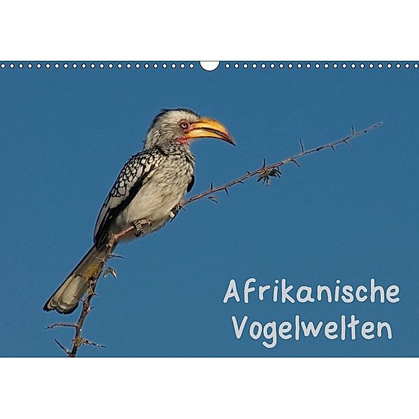 Afrikanische Vogelwelten (Wandkalender 2018 DIN A3 quer), Gerald Wolf