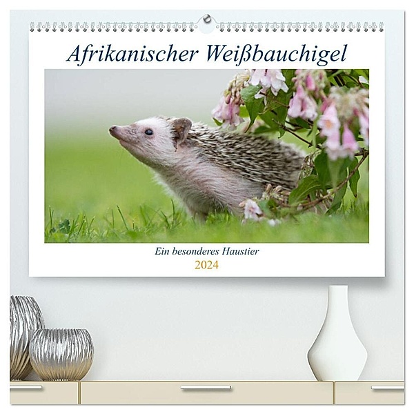 Afrikanische Weißbauchigel (hochwertiger Premium Wandkalender 2024 DIN A2 quer), Kunstdruck in Hochglanz, Andreas Zimmermann