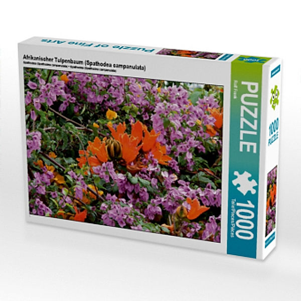 Afrikanischer Tulpenbaum (Spathodea campanulata) (Puzzle), Rolf Frank
